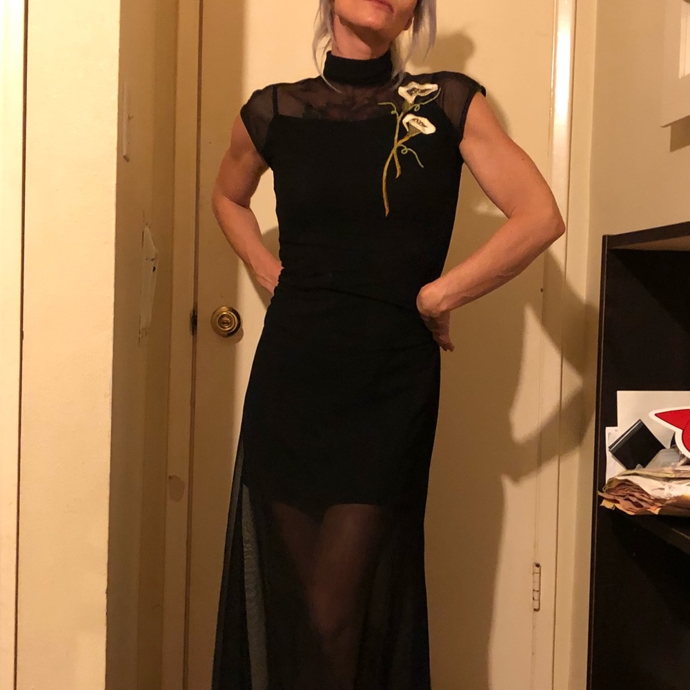 🍂falling prices🍂Vintage Japanese sheer dress